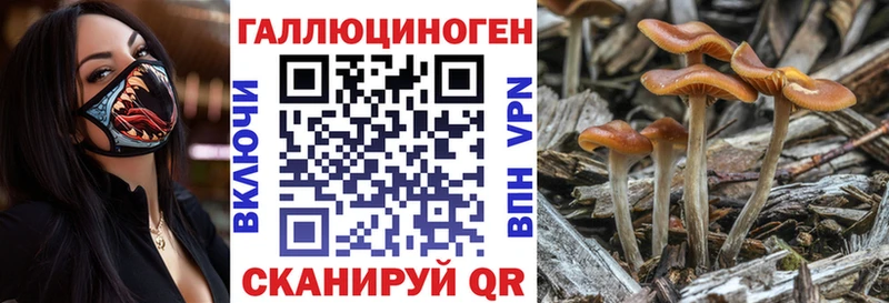 Псилоцибиновые грибы прущие грибы  наркошоп  Новая Ляля 
